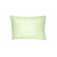 pillow-aloe-vera.jpg