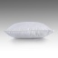 PadiLux5060-3.jpg